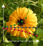 Schrfentiefe-Diagramm