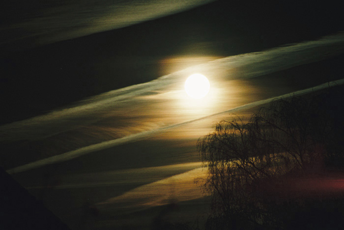 Mondsüchtig, Vollmond in Barmbek, Ein bisschen mondsüchtig ??