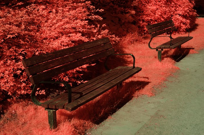 Infrarot-Fotografie 550 nm (Orangefilter), Bank im Stadtpark, Infrarot-Fotografie